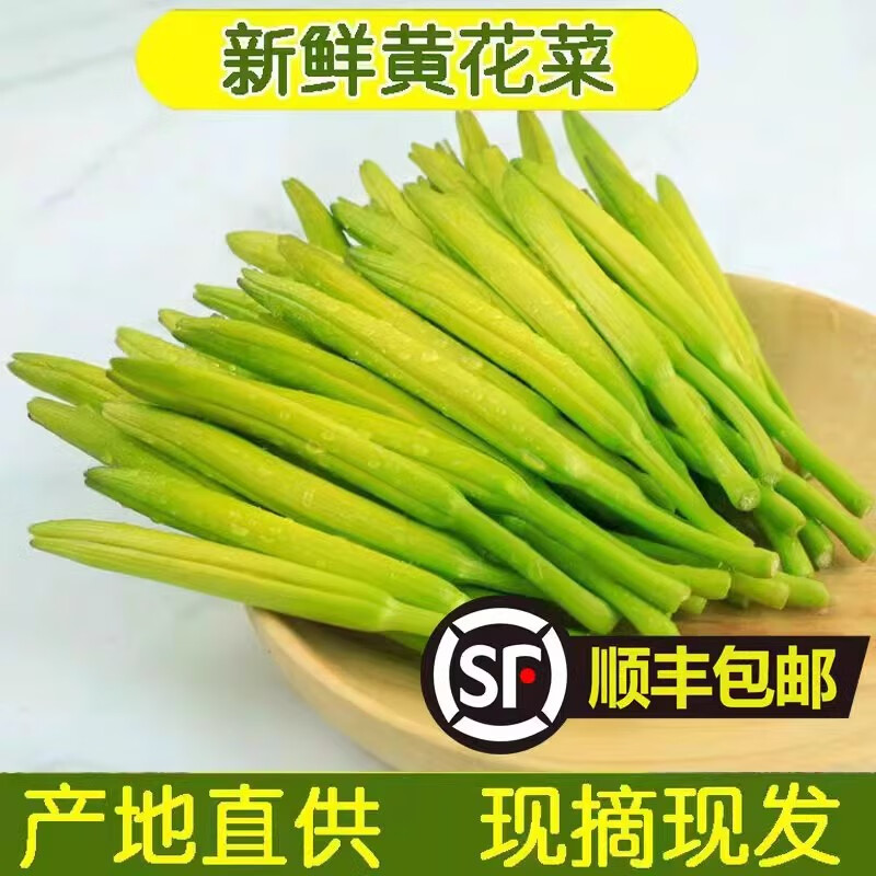 囧仙子新鮮黃花菜現(xiàn)摘現(xiàn)發(fā)野生金針菜農(nóng)家野菜時令蔬菜涼拌菜酒店特色菜 1斤 新鮮黃花菜