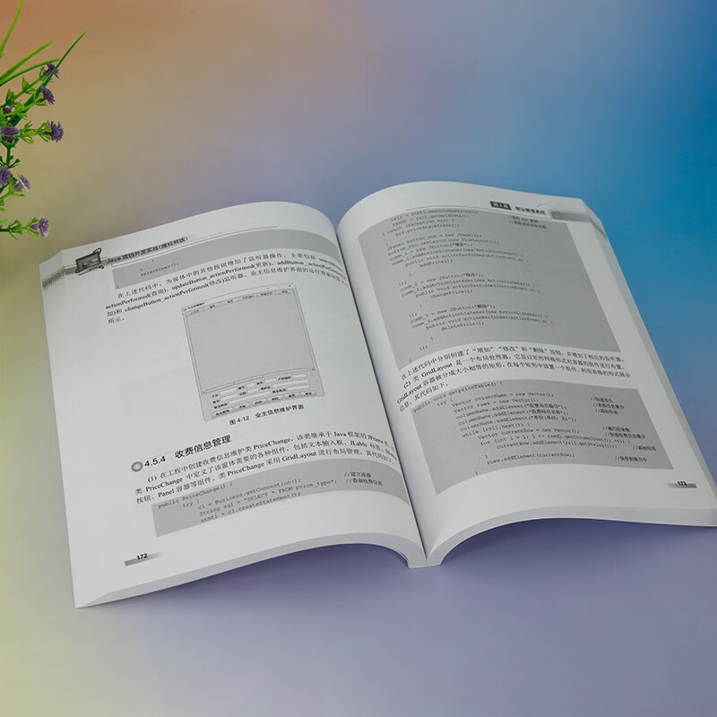 Java项目开发实战（微视频版）