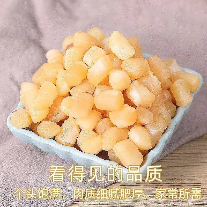巢浩湛江海味淡曬瑤柱干貝干貨海鮮扇貝大小中扇貝柱海產(chǎn)品貝柱 【湛江特產(chǎn)大干貝】500克