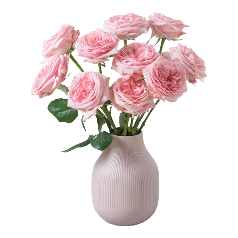 ʱĺõ廨ʻϻԴͷֱͷ¿ŵл ͷ50cm֦õɫ10֦ 58.8Ԫ