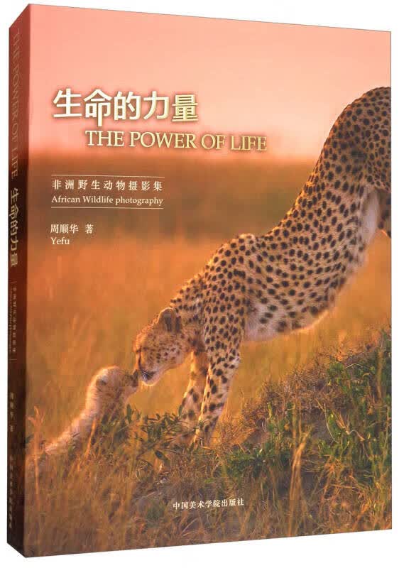 生命的力量(非洲野生动物摄影集)
