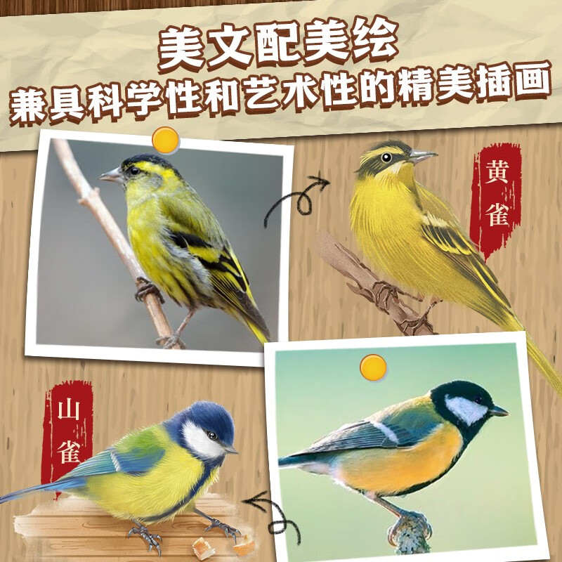 森林报·科普彩绘注音版：全4册详情图