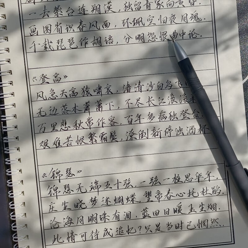 抖音太帅被人砍行楷手写练字帖女生字体漂亮练字男高中生初中临摹帖