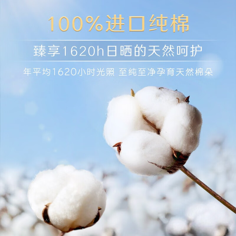 高洁丝(Kotex)卫生巾 臻选天然阳光纯棉日用240 8片装 极薄棉柔透气无感