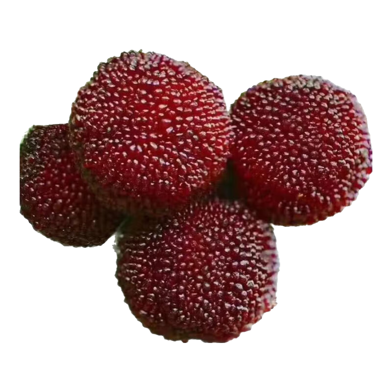 ������ɾ���ժ�����ٶ���÷�ó���÷��ժ�䶳ˮ���и��ɳ����𵱼��䶳 ������÷2�� 66Ԫ