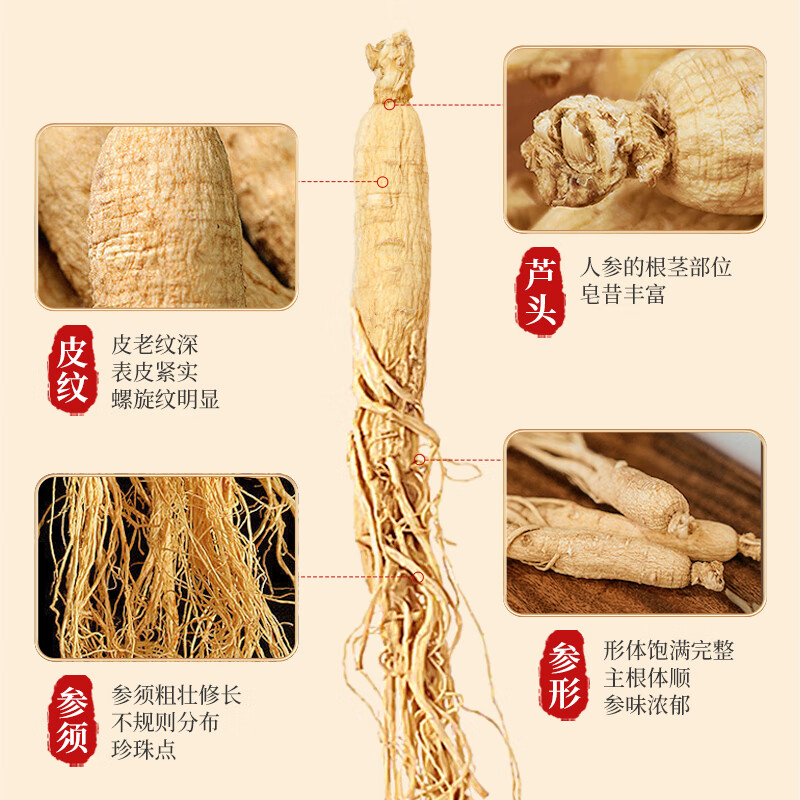 长白山人参精选干人参全须生晒参健康煲汤泡水泡酒材料节日礼品富含人参皂苷 全须生晒参2盒送1个礼袋