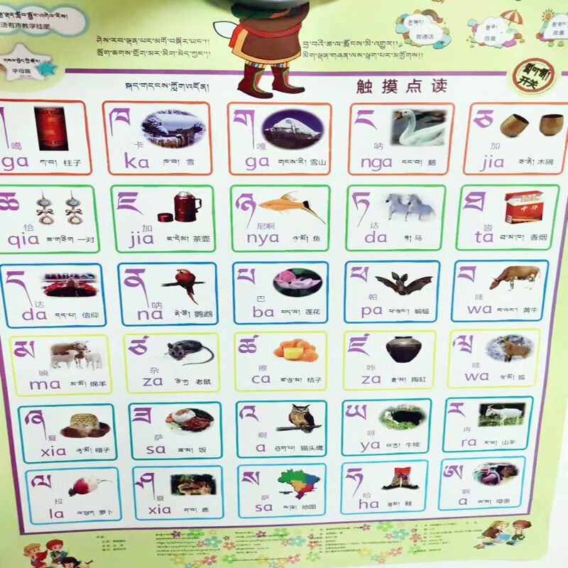 藏语有声教学挂图:字母篇-藏田藏文图书