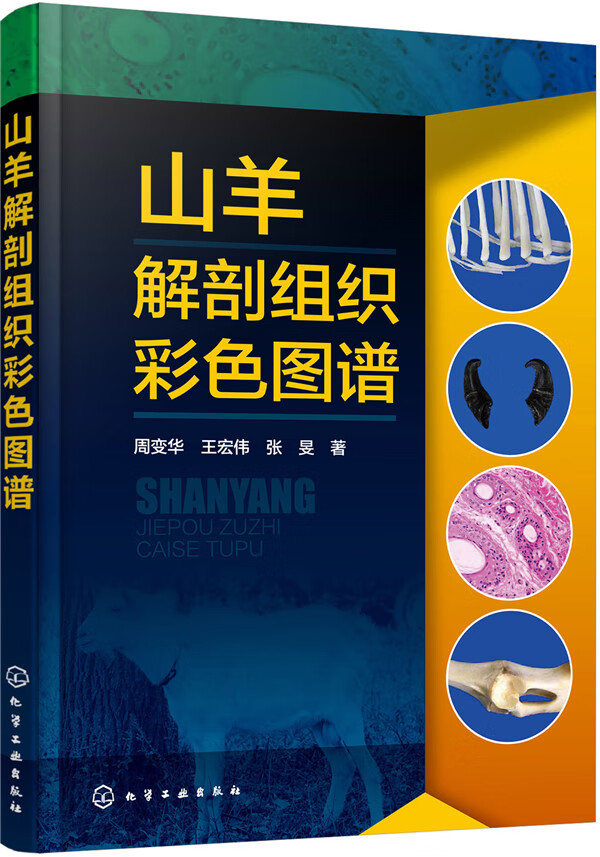 山羊解剖组织彩色图谱 周变华,王宏伟,张旻 9787122285881 化学工业出版社