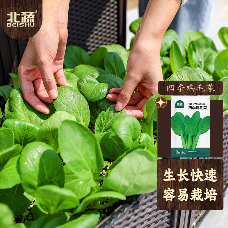 怎么看京东蔬菜类商品的历史价格|蔬菜类价格走势图