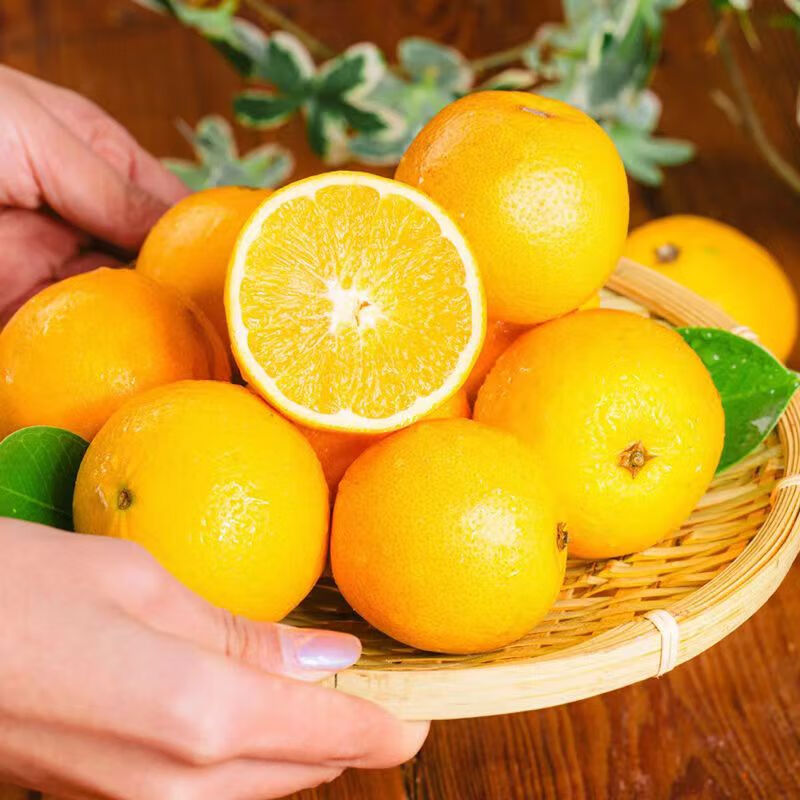 千园九味九月红果冻橙 新鲜水果当季时令应季现摘手剥橙子整箱桔橘子 精选净重5斤单果【60-70mm】