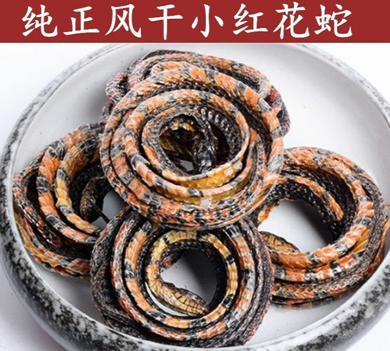 北京同仁堂小红花蛇泡酒蛇红 足干货中药材红盘1条风湿红盘料 小红花