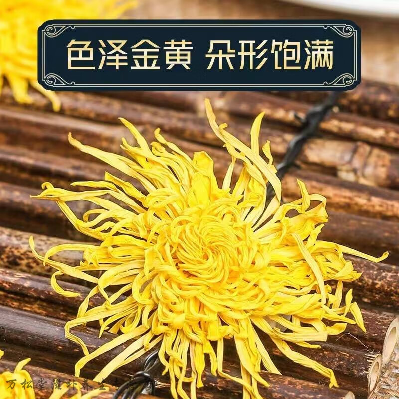 北京同仁堂 原料清驰菊花茶野生青池菊菊花茶青池菊泡茶 体验装10克