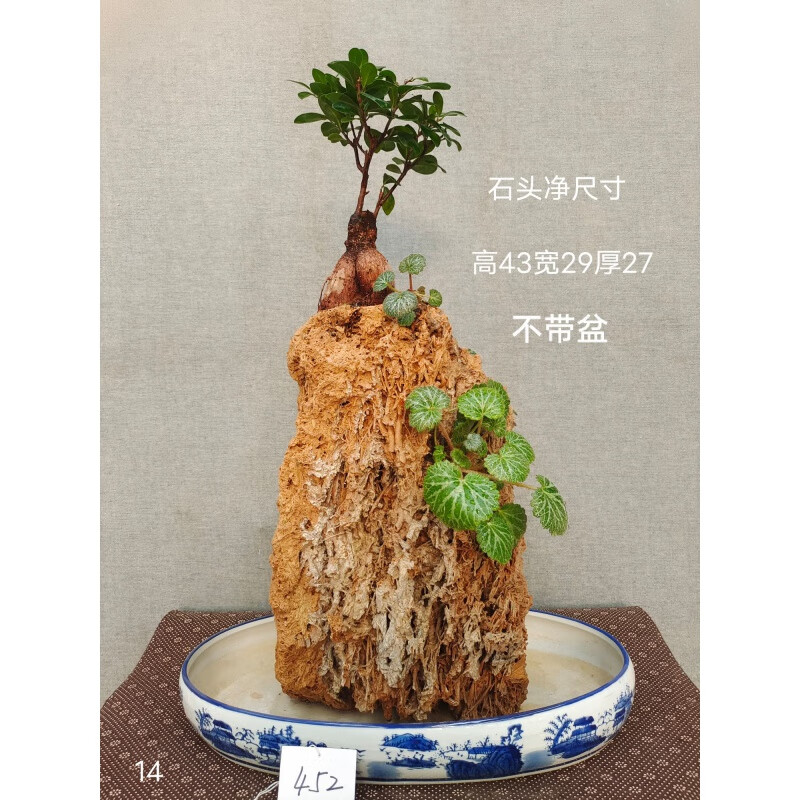 天然芦管石钟乳石吸水石原石上水石假山大型盆景摆件 乳白色