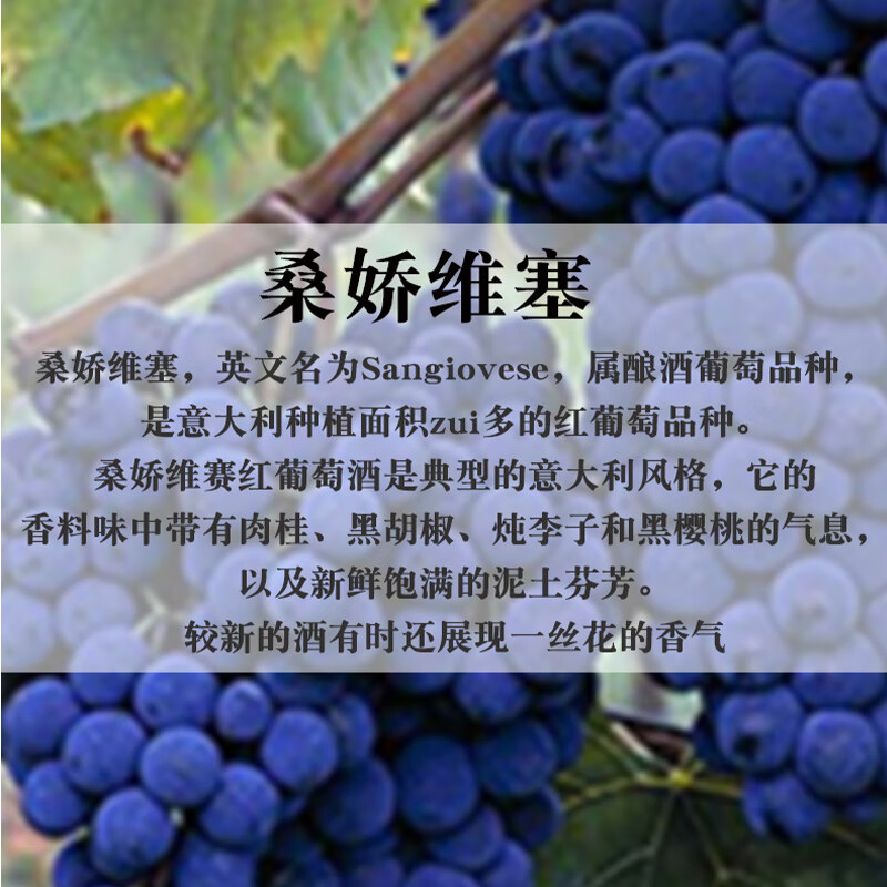 LEELER意大利原瓶进口安东尼世家碧波园经典基安蒂 DOCG级干红葡萄酒 【整箱装】黑公鸡干红*6+礼袋