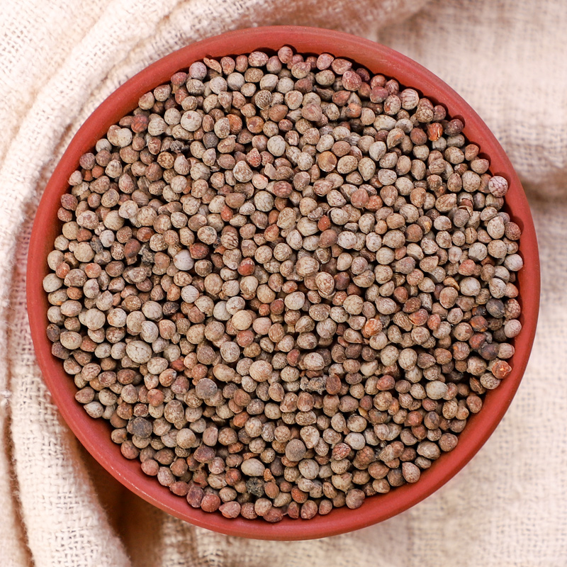 同仁堂同仁堂苏子籽熟紫苏籽粉食用500g生苏子中药中药材紫苏子非特级