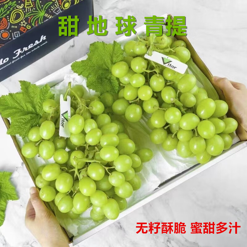 卡心佳澳洲甜地球青提无籽提子脆甜多汁秋天脆棉花糖葡萄新鲜水果 2斤