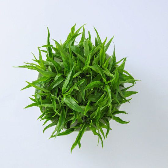 现摘忧遁草鲜叶新鲜鳄嘴花纯黎王草小尖叶新鲜优盾草鲜叶 250克鲜叶