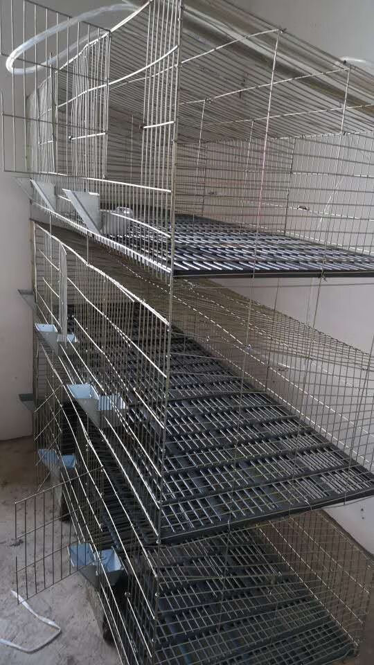 hkpz加粗12位24位商品兔子笼大型养殖场子母笼种兔笼子成年兔舍养殖笼