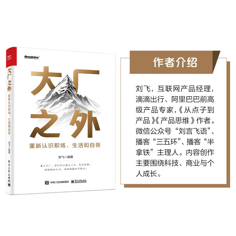 大厂之外：重新认识职场、生活和自我详情图