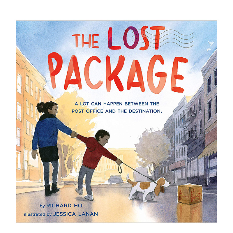 【现货】the lost package: a lot can happen between the pos