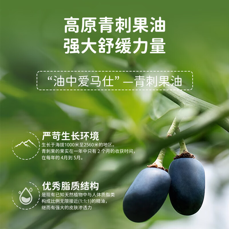 春娟宝宝霜青刺果婴童舒缓保湿面霜滋润补水干红紧绷儿童新生婴儿 舒缓保湿婴童面霜50g