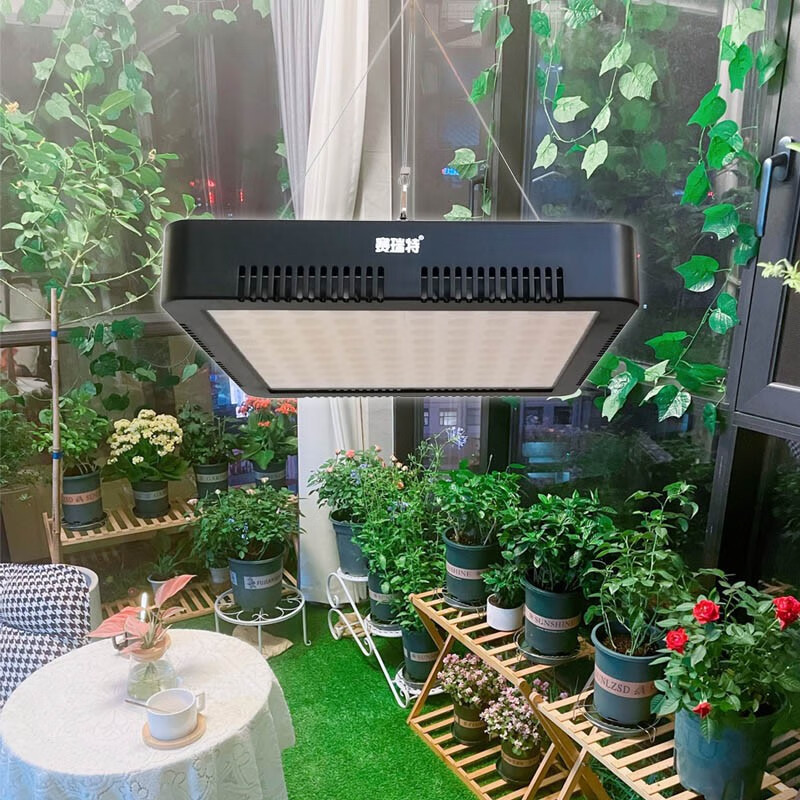 植物补光灯热销榜