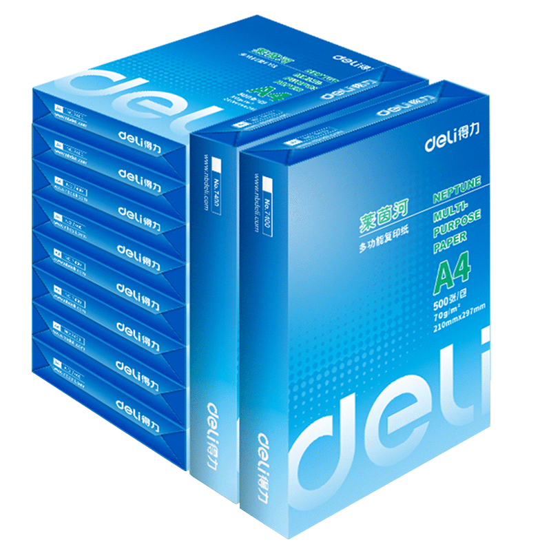 得力（deli）莱茵河A4打印纸 70g500张*10包一箱 口碑优选复印纸 双面草稿纸 整箱5000张 7403【采购优选】