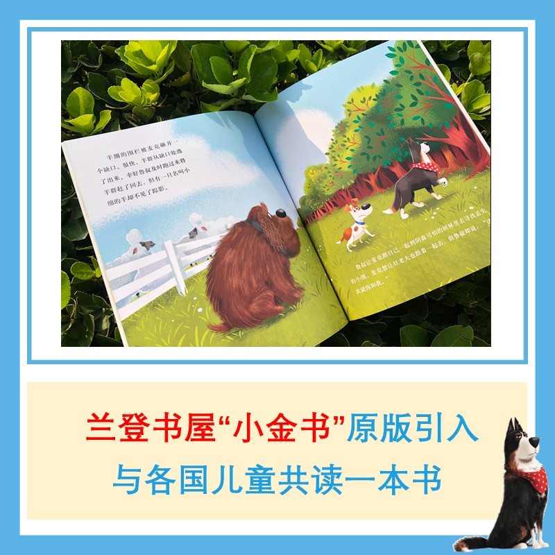 环球经典动画电影故事（12册套装）