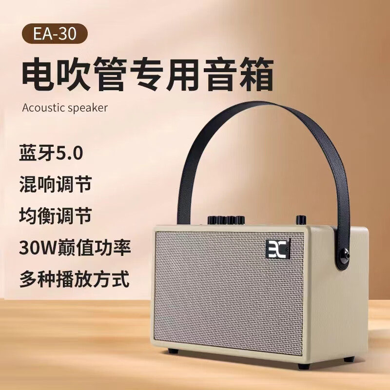 伊诺（ENO）EA30乐器电吹管专用音箱30w蓝牙户外路演乐器便携扩音电吉他音响 杏白色30W+3米音频线