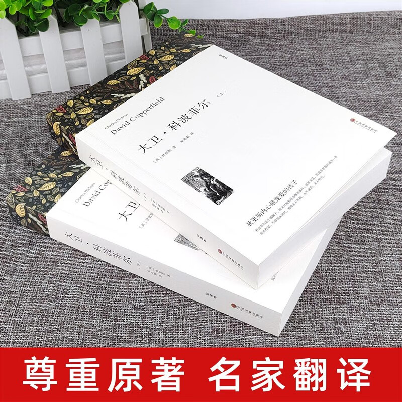【严选】大卫科波菲尔高中生版查尔斯狄更斯著高一必读课外书全译本原 2本大卫科波菲尔上下册