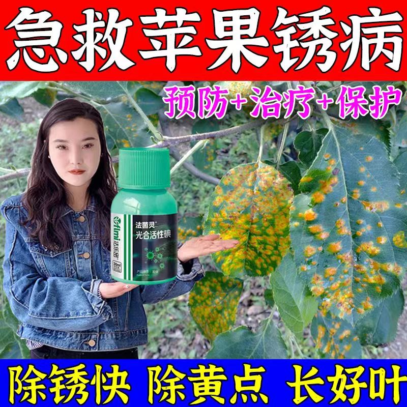 苹果锈病药苹果树专用剂苦豆炭疽轮纹褐斑花脸白粉腐烂病全治 苹果树