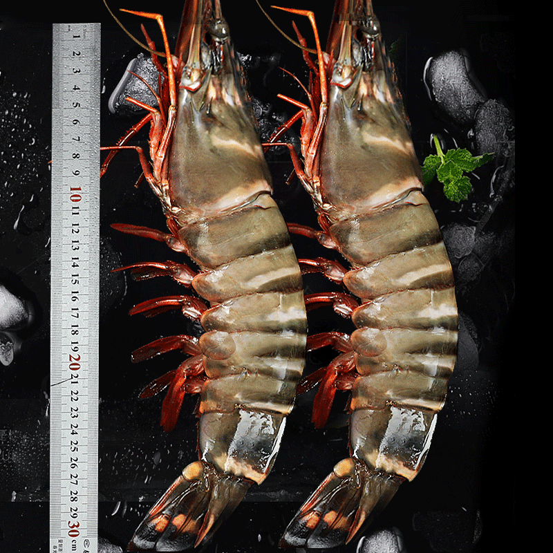 ���� �ڻ�Ϻ ��ϻ�Ϻ 16-18cm 1000g���� 63.99Ԫ