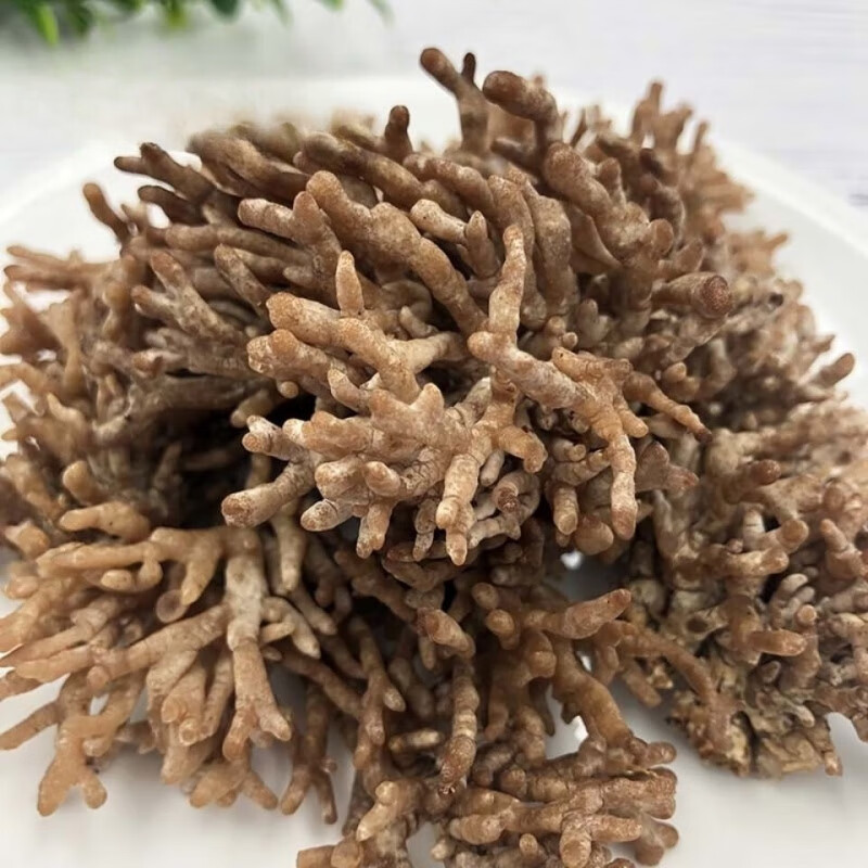 美朝福福建武夷山特产新鲜龙爪菇猫爪菇鸡爪菇菇老鼠爪特色食材 500克
