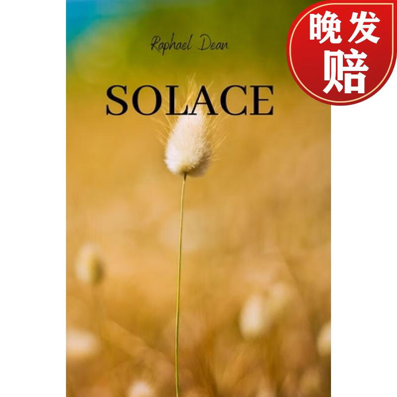 【4周达】solace