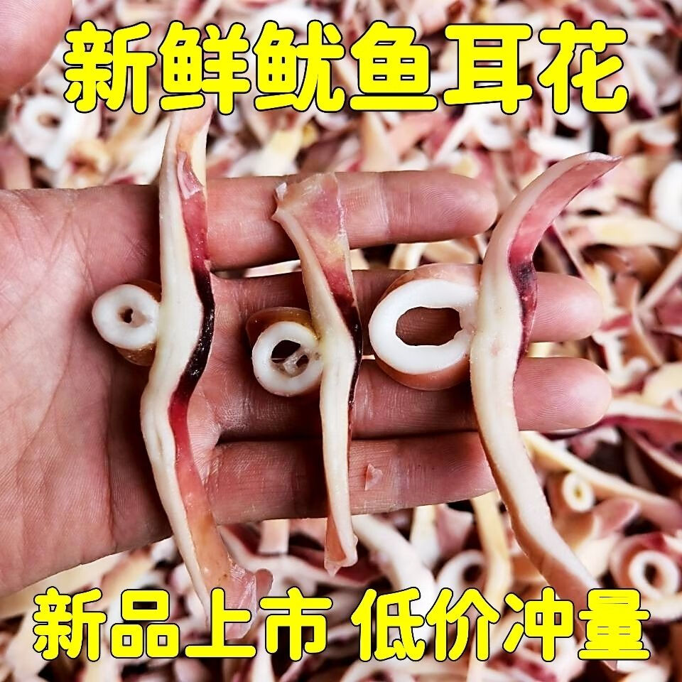 魷魚耳花魷魚耳條花小飛燕魷魚絲魷魚條魷魚尾花新鮮冷凍無冰衣 三斤裝嘗嘗鮮【凈重?zé)o冰衣】