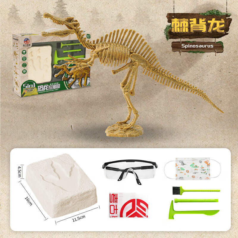 骨架仿真腕龙骨骼化石模型儿童挖掘玩具 棘背龙挖掘套装 口罩 护目镜