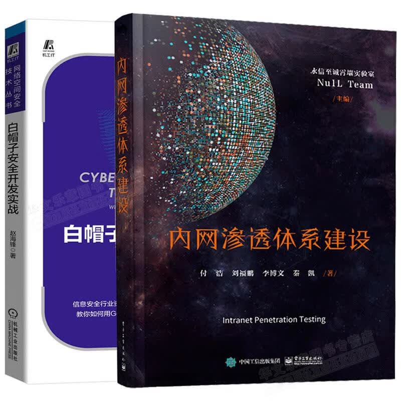 内网渗透体系建设+白帽子安全开发实战书籍