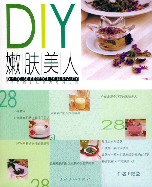 DIY嫩肤美人 陆莹 著【正版书】