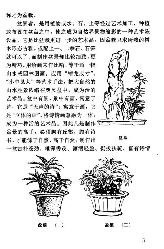 盆景制作与养护问答【正版图书,放心购买】