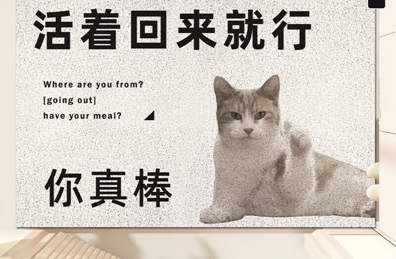 活着回来就行大门入户门丝圈地钥匙带了脚 hi 有事 40x60cm