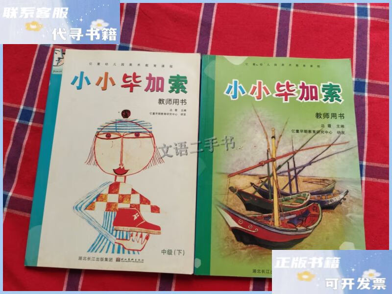 【二手9成新】小小毕加索 教师用书 中级(上下册) /边霞 湖北美