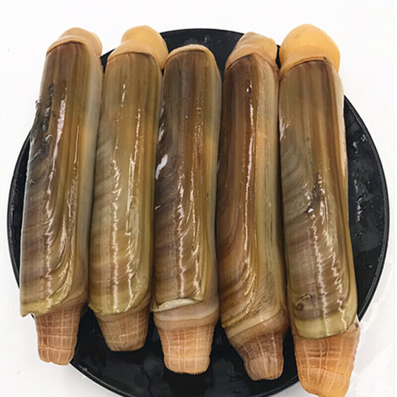 亲丰竹蛏王新鲜蛏子海鲜水产竹节蛏贝类海鲜 大蛏子500g(5-8只)