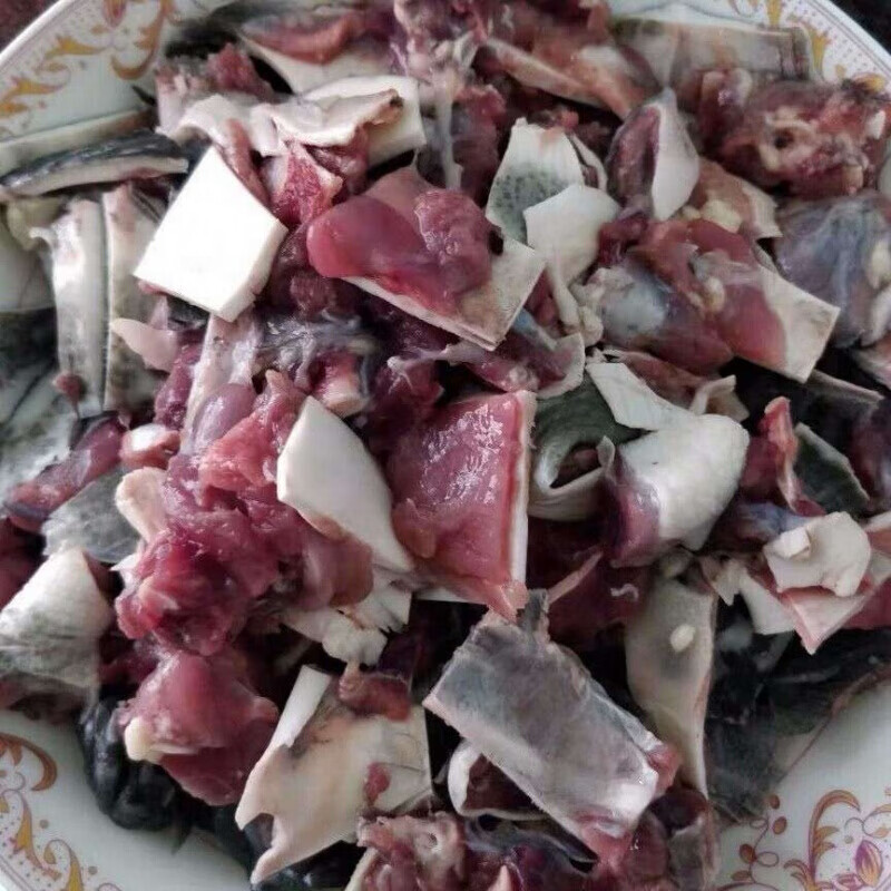 棠鲜生【微山湖野养甲鱼】现杀外塘野养甲鱼老鳖 王八真空包装 外塘