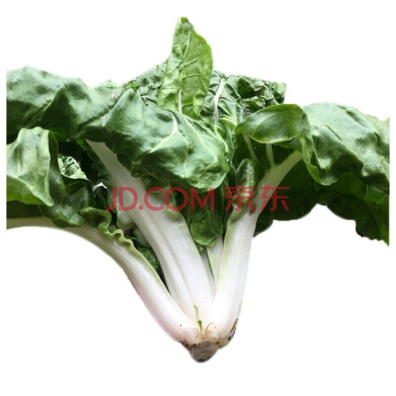 新鲜厚皮菜 飘儿菜 农家厚合菜 新鲜蔬菜 2500克