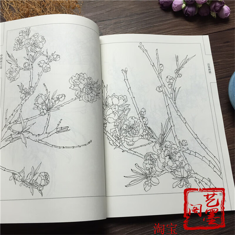 百花白描画谱中国画线描初学基础 花卉百花白描 入门白描花卉书