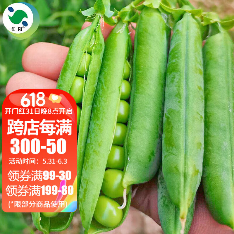 汇阳秋冬季蔬菜种子大全10月份适合冬天种的菜籽 汇阳甜脆豌豆种子