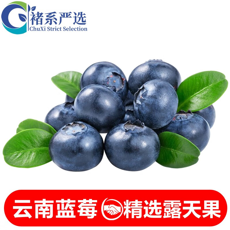 诸氏橙品【现摘-空运】云南蓝莓水果 新鲜大果 当季露天鲜果孕妇时令
