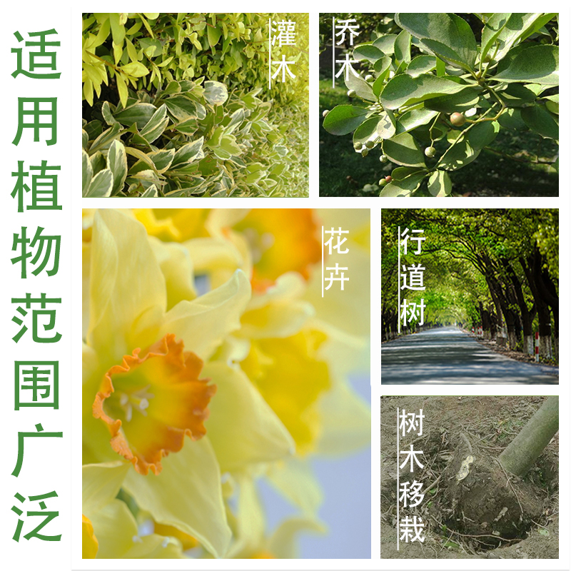 树木生根粉植物生根剂发根液扦插移栽壮苗剂果树营养液花卉生根液【京