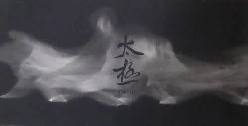 太极 【正版】