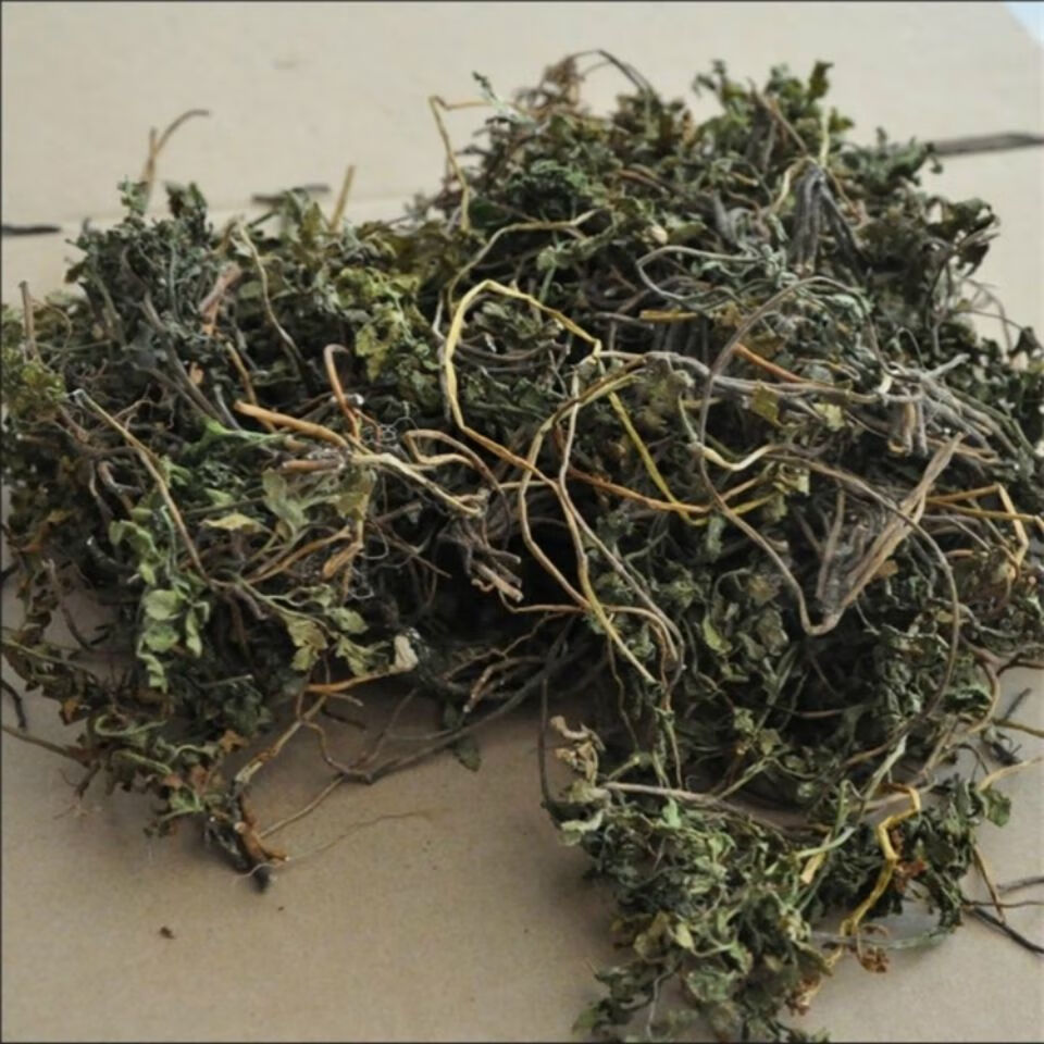 北京同仁堂小春花 中药材 阴地蕨 蛇不见 一朵云 独脚金鸡 阴地厥 500